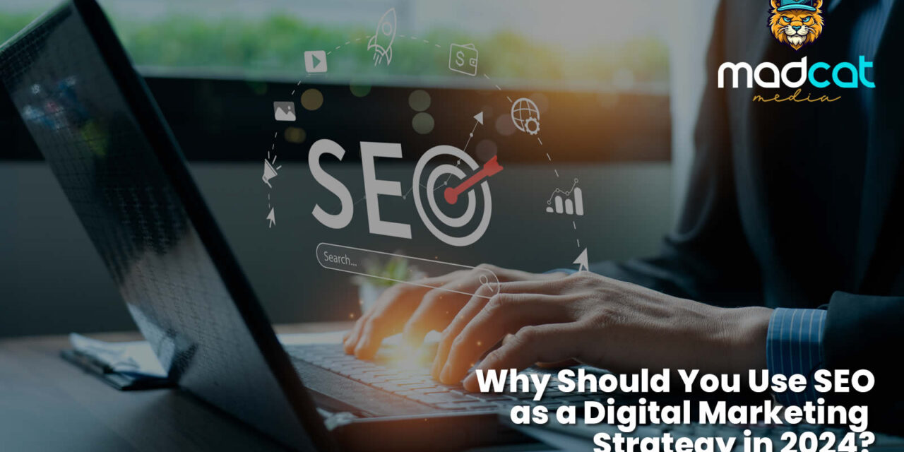 Why Should You Use SEO as a Digital Marketing Strategy in 2024?